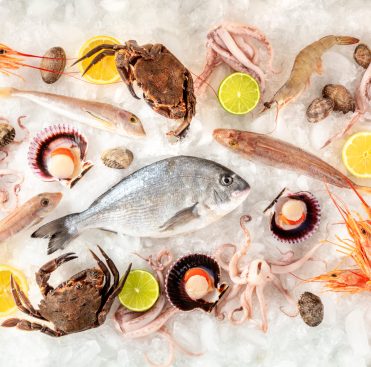 Fish,And,Seafood,Variety,Flat,Lay,,Shot,From,Above,On